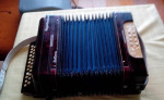Harmonika - Bellona RoyalStandart – fotka 3